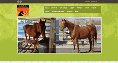 Desktop Screenshot of leanhorses.org